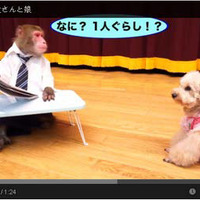 猿と犬が人間顔負けの喜劇を好演！　「レオパレス21動画コンテスト」優秀賞決定 画像