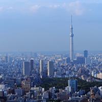 マー君、富士山や東京五輪をおさえて1位に！　2013年の時事・世相ランキング 画像