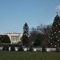 ホワイトハウスのツリー