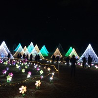 立川の国営昭和記念公園