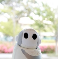 PaPeRo petit。クラウド連携型ロボットプラットフォームによる「PaPeRo パートナープログラム」を提供開始