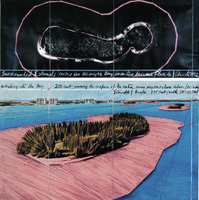 「囲まれた島々、フォロリダ州グレーターマイアミ、ビスケーン湾のプロジェクト」（1982年）