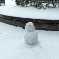 8日から9日にかけて広い範囲で雪　気象庁発表 画像