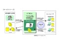 NTT西日本×会津大学、家庭のPCで惑星「イトカワ」の画像データ解析 画像