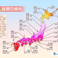 2014年の桜の開花予想、北日本はやや早め……ウェザーニューズが発表 画像