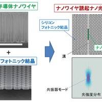 NTT、超小型光デバイス向けの新しい集積技術を開発……チップ内に高密度光ネットを導入可能に 画像
