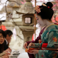 【フォトレポート】北野天満宮で「梅花祭」 画像