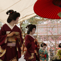 【フォトレポート】北野天満宮で「梅花祭」