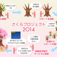 “満開”だけじゃない桜の魅力……生長を観察する「さくらプロジェクト2014」 画像