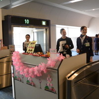 JAL ひなまつりフライト
