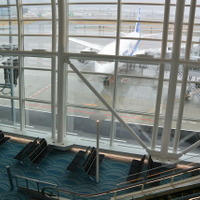 羽田空港、国際線旅客ターミナル拡張　3月30日供用開始 画像