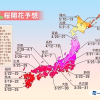 桜の開花予想……来週にかけ、九州～近畿、東海、関東 画像