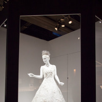 「世界最多1万3,262個の本真珠」付きのウェディングドレス