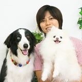 【新連載・快適ペットライフ Vol.1】今、人気の犬種とその理由 画像