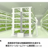 東芝、植物工場での野菜生産を事業化……遊休クリーンルームを活用 画像