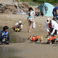 青井浜ワンワンビーチ（c）Getty Images