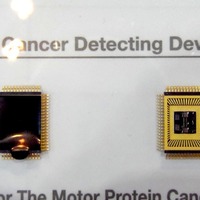 A MOTOR Protein Cancer Detector