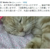 大江アナ、マスコット猫「まーご」訃報に「私たち番組スタッフの心の支えでした」