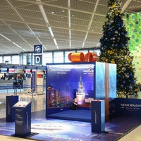 成田空港にクリスマスツリー……星を点灯して空へ旅立つ 画像