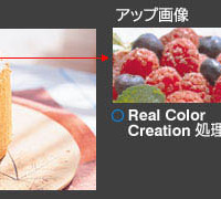 「Real Color Creation」の効果イメージ
