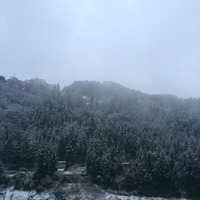 12月5日、大雪に見舞われた徳島県三好市の様子（ウェザーニューズより）