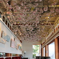 桜で装飾されたスターバックスコーヒー「上野恩賜公園店」店内の様子