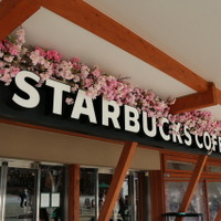 桜で装飾されたスターバックスコーヒー「上野恩賜公園店」