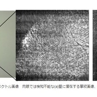 指掌紋に含まれる脂肪やアミノ酸を分析して非接触＋非破壊で指掌紋を検出・分析することが可能（画像は早稲田大学のwebより）。