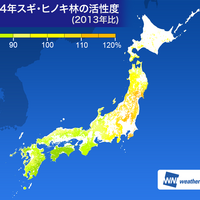 ウェザーニューズ、花粉シーズンに突入したことを発表