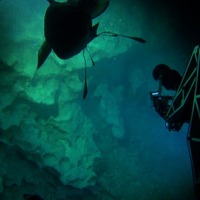 『ザ・プレミアム「深海のロストワールド　追跡！謎の古代魚」』：番組内シーン