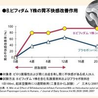 B.ビフィダム Y株の胃不快感改善作用