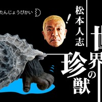 ガチャ「松本人志 世界の珍獣 第1弾」、リニューアルでAR技術を採用 画像