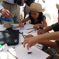 ファーブル博士になろう！　クワガタがもらえるTEPCOひかりの夏休み体験イベント