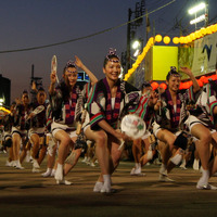 徳島の阿波踊り（c）Getty Images