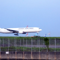 京浜島つばさ公園から羽田空港B滑走路へ着陸する旅客機を見る