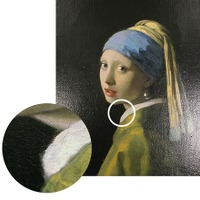 「真珠の耳飾りの少女」（フェルメール）のような油彩画も質感を再現できる