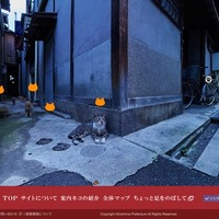 国内外で話題！猫目線で街めぐる広島キャットストリートビュー 画像