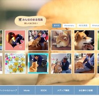 柴犬・まるのホームページ
