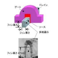 「ICの指紋」の利用イメージ