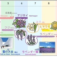 「How to」で四季の自然カレンダーの一例