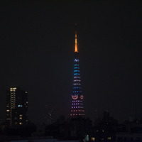 クリスマスツリーをイメージしてライトアップされた東京タワー【写真：竹内みちまろ】