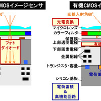 有機CMOSイメージセンサでは光電変換を有機薄膜で、信号電荷の蓄積は下層の回路部で行うので、入射光線範囲の拡大やレンズの設計自由度向上などのメリットがある（画像はプレスリリースより）