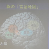 人間の左脳には言語地図があり、文法・単語・音韻・読解など複数の領域に分かれているという