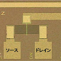 Fe-NANDフラッシュメモリーのためのFeFET光学顕微鏡写真　ゲート長3&micro;m、ゲート幅50&micro;m