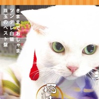 「猫侍 いやし猫DVD まるっと玉之丞」ジャケットー(C)2016「猫侍SP」製作委員会