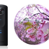 花見ピーク目前！360度「桜のライブ動画」でバーチャルお花見 画像