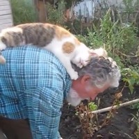 【動画】庭仕事のお爺さんの背中で毛づくろい！ 画像