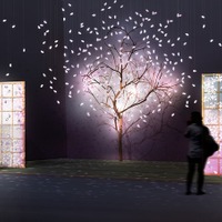 「江戸桜ルネッサンス＆夜桜うたげ」開催　3月7-30日 画像