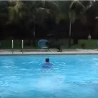 【動画】プールへ突き落とすのが大好きな犬