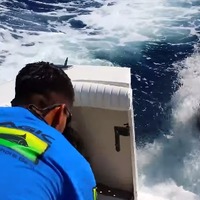 【動画】船に乗り込んできたアシカと、やさしい釣り人たちの不思議な出会い